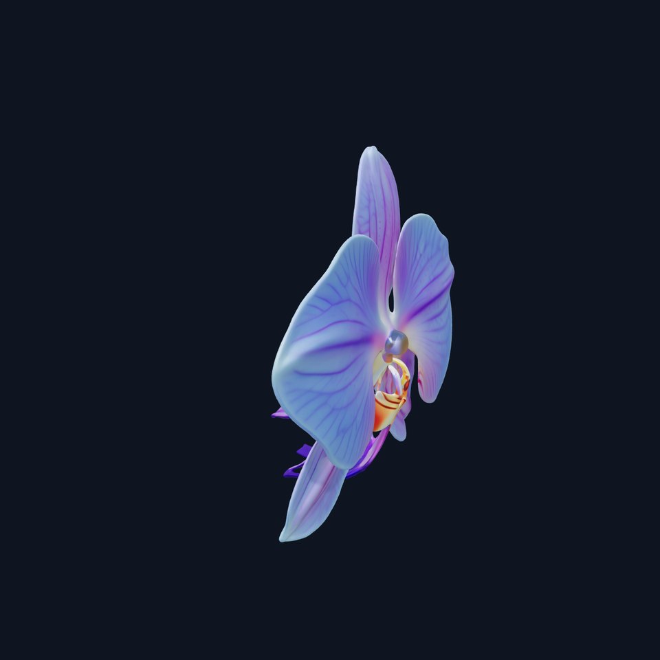 Orchid Flower Model Pack for Realistic D Rendering and Animation